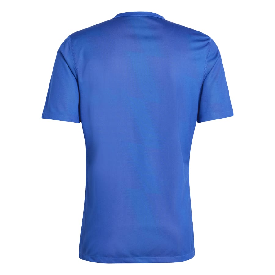 adidas Trikot Reversible 24 Team Royal Blue / Team Power Red