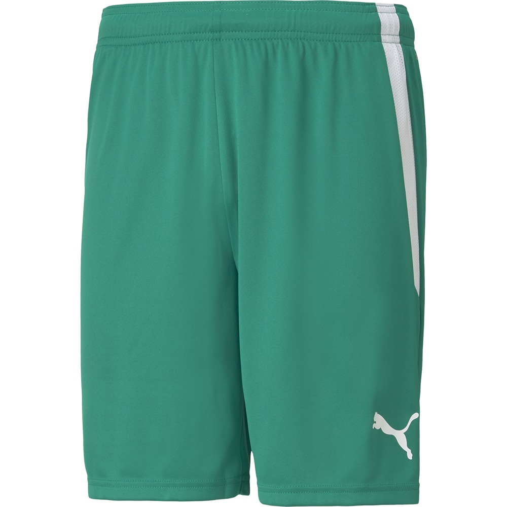 Puma Kinder Shorts teamLIGA grün-weiß