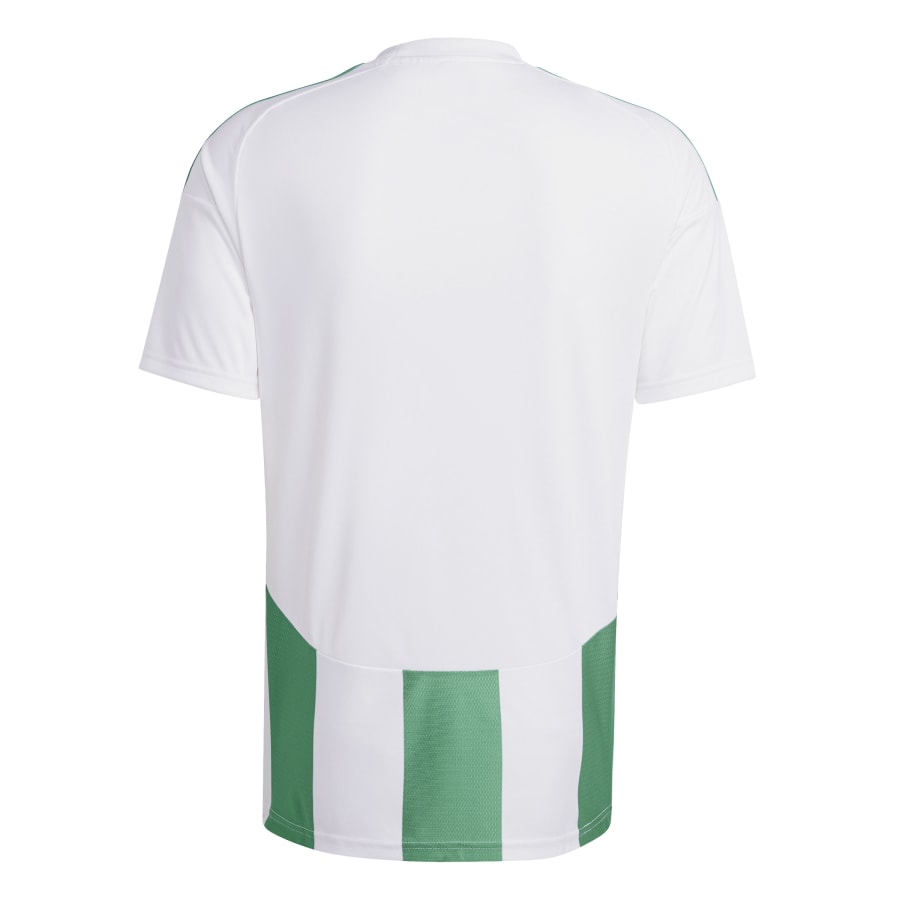 adidas Trikot Striped 24 White / Team Green