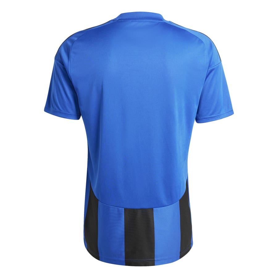 adidas Trikot Striped 24 Team Royal Blue / Black