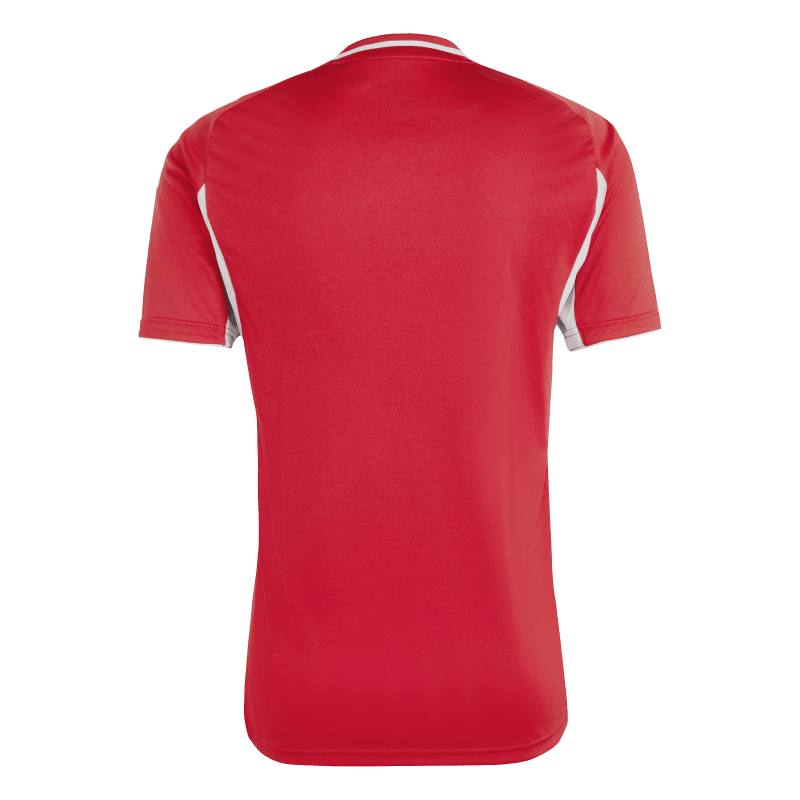 Adidas Trikot Tiro 25 Competition Match team power red 2-team light grey